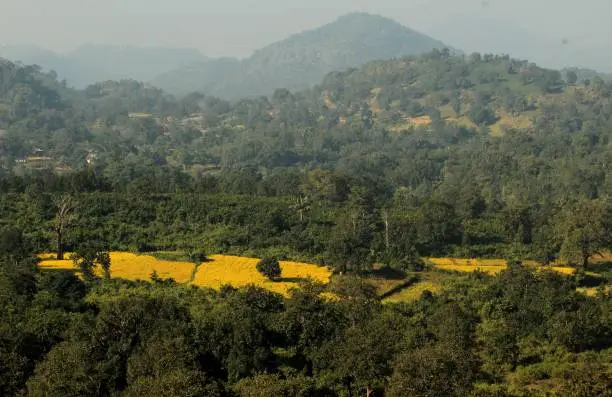 Kandhamal Scenery